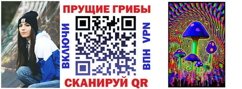 ОМГ ОМГ ССЫЛКА  цена   Чудово  Галлюциногенные грибы мухоморы 
